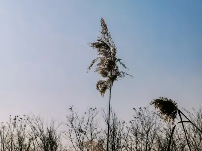 Bit4win Casino Mobile App